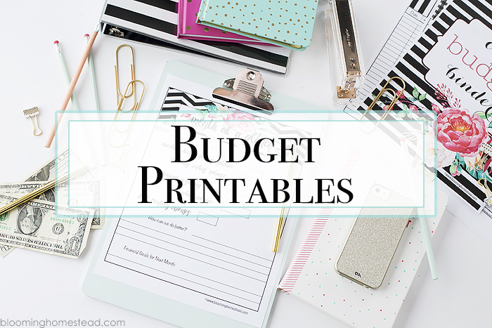 month-at-a-glance-budget-printables-at-blooming-homestead-copy