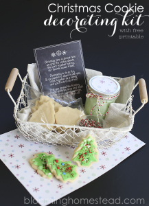 Christmas Cookie Decorating Kit - Blooming Homestead