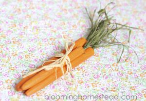 DIY Wood Carrots Tutorial-easy diy project