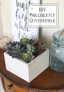 DIY Succulent Centerpiece - Blooming Homestead