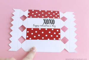 Printable Valentine Favor Boxes in two styles, perfect for girls and boys.