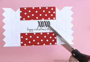 Printable Valentine Favor Boxes in two styles, perfect for girls and boys.